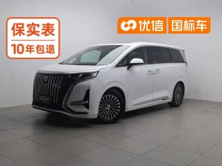 Denza D9