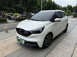 Yizh Ev
