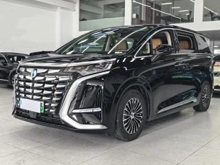 Denza D9