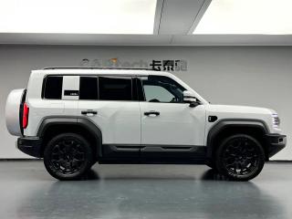 Leopard Suv