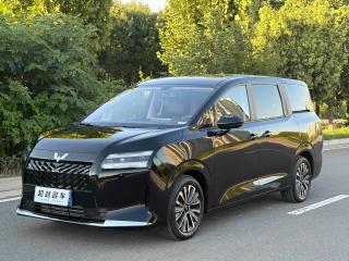 Wuling Xingguang_730
