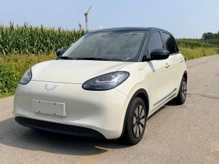 Wuling Bingguo