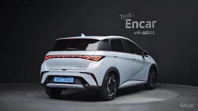 Byd Dolphin