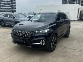 Wey Vv6