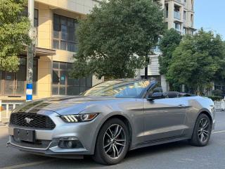 Explorer Mustang
