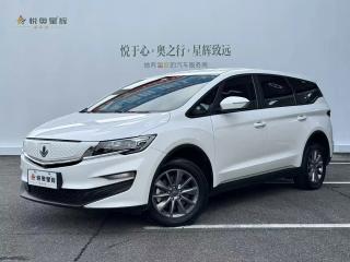 Ruilan 80v