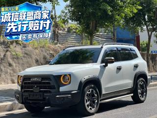 Haval Dagou