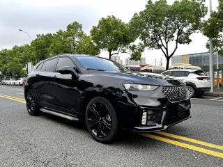 Wey Vv7