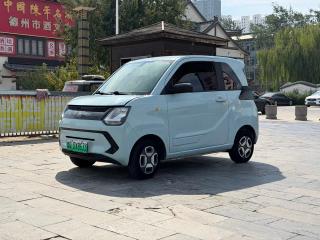 Fengguang Miniev