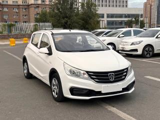 Baojun 310