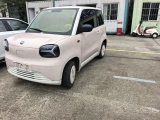 Zotye Caihong