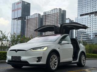 Tesla Modelx