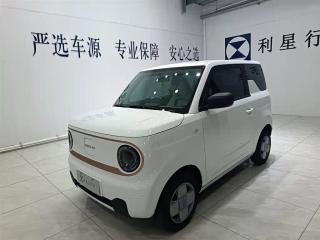 Xingyuan Pandamini