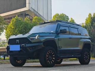 Mengshi 917