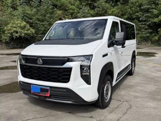 Pioneer V