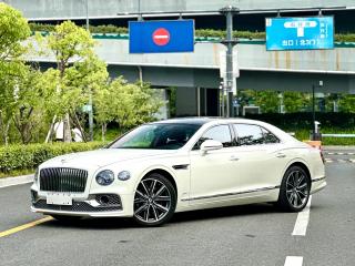 Tianyue Electric_sedan