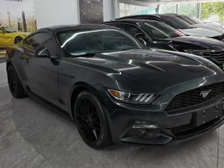 Explorer Mustang