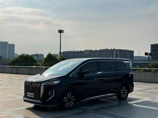 Hongqi Hq9