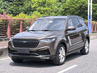 Dama Zotye-t800