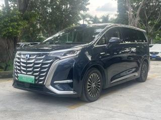 Denza D9