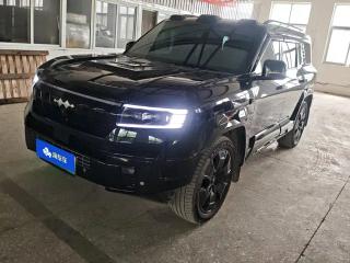 tiqi 豹8
