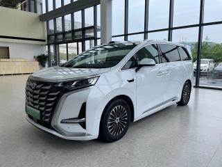 Denza D9
