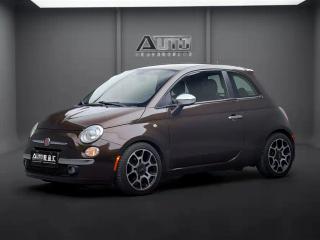 Feixiang Fiat_500