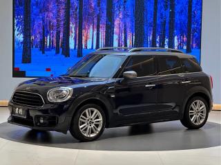 Mini countryman
