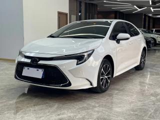 alphard leiling