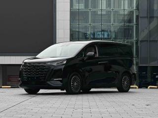 Denza D9