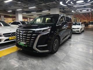 Denza D9