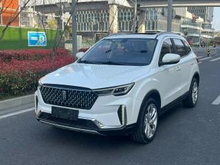 Besturn T33