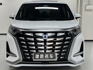 Denza D9