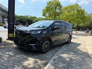 Denza D9