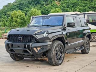Mengshi Suv