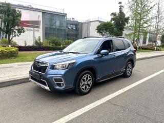 forester forester