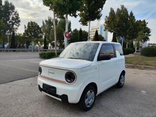Xingyuan Pandamini