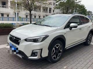 forester xv