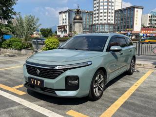 Baojun Valli