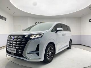 Denza D9