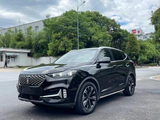 Wey Vv6