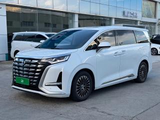Denza D9