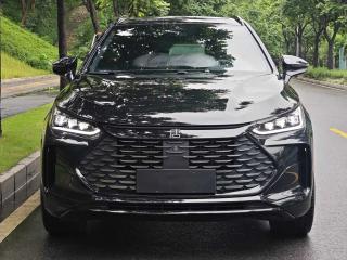 Byd New_energy