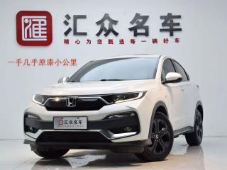 Binzhi Xr-v