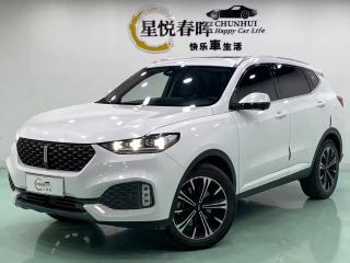 Wey Vv6