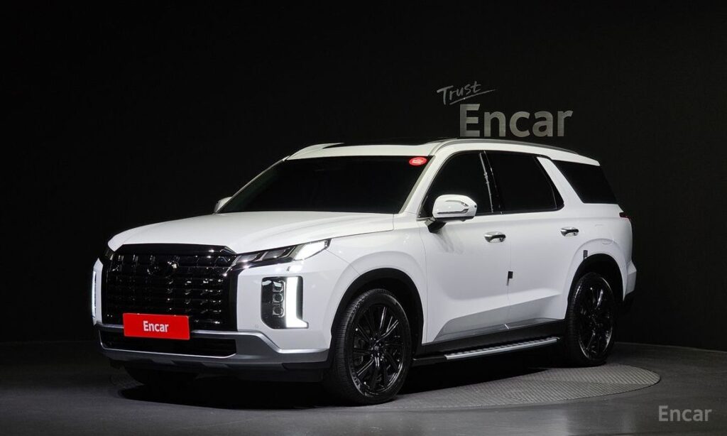 Hyundai Palisade 2024