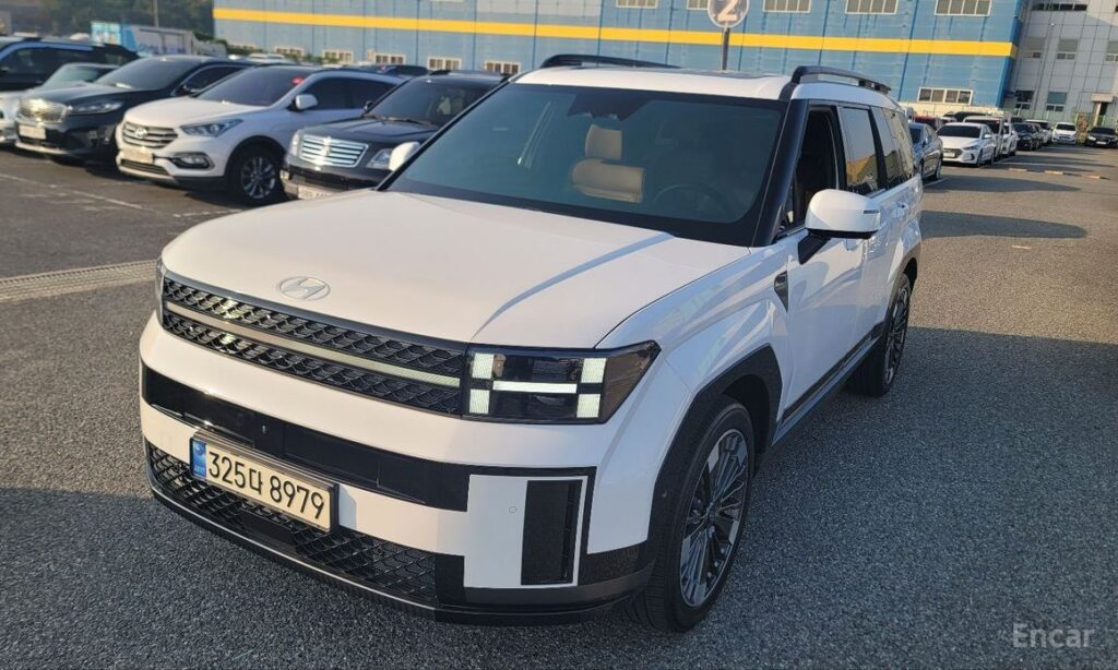 Hyundai Santafe 2024