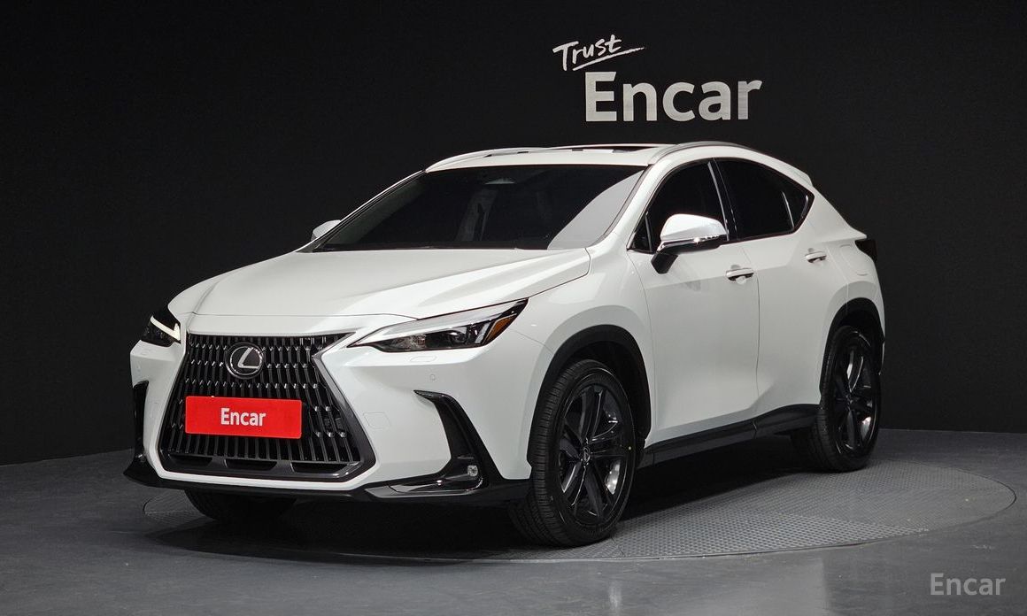 Lexus NX 2024