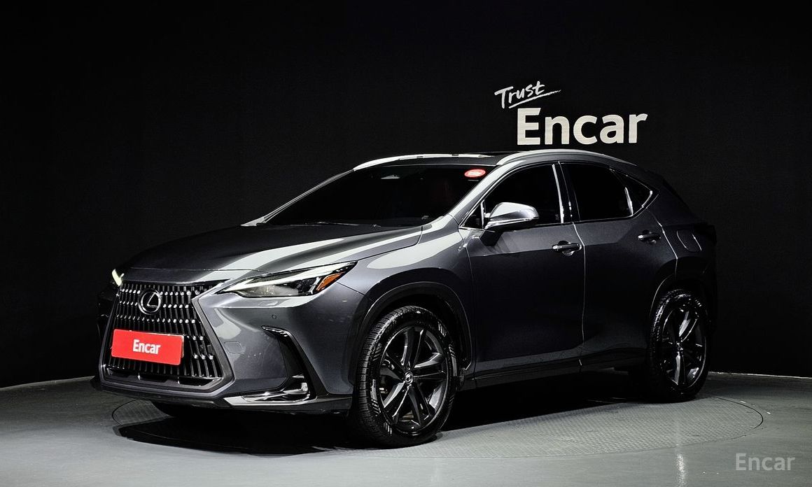Lexus NX 2022