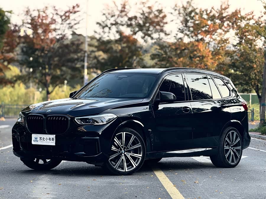 BMW X5 xDrive40Li Premium M Sport Package (facelift)